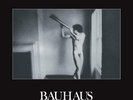 BAUHAUS   IN THE FLAT FIELD 40th ANN     BRONZE COLORED VINYL LP    *NEW/SEALED*