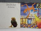2x Vinyl Records- UB40 Rat in the Kitchen, Tears for Fears The Hurting