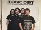 Magic Dirt - What Are Rockstars Doing Today Vinyl LP ROWLAND S HOWARD ADALITA