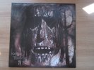 POISON Native Tongue 1993 Korea Orig Vinyl LP INSERT