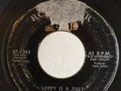 Black Rocker Rockabilly 45 Roy Gaines Skippy Is A Sissy on RCA HEAR