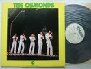 PROMO WHITE LABEL / PORTRAIT OF OSMONDS
