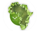 Preorder Rsd Black Friday 2018  Weezer - Africa limited shaped picture vinyl 10
