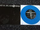 Nirvana Melvins Split 7