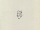 DEMUJA - Classic Warrior EP - Vinyl (12