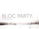 BLOC PARTY SILENT ALARM 180 GRAM VINYL LP + DOWNLOAD REISSUE 2018