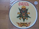 Suicidal Tendencies / possessed to skate / Picture Disc / picture vinyl / Maxi