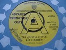 LORRAINE ELLISON UK WARNER BROS DEMO 1968 45 MINT MINUS TRY JUST A LITTLE BIT H