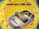 Beastie Boys - Hello Nasty '09 2xLP US Official Reissue  180 gram Vinyl