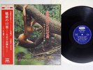 TAKEO YAMASHITA MIWAKUNOKUCHIBUE TOSHIBA TP-7448 Japan OBI CHEESECAKE VINYL LP
