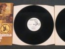 PAUL BUTTERFIELD BLUES BAND - GOLDEN BUTTER - RARE U S DOUBLE 12