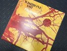 Wishbone ash - Pilgrimage, MCA MDKS 8004 EX/EX