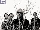 Tom Petty and the Heartbreakers - Echo  2xLP  VINYL NEW 2017