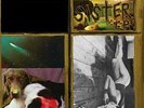 Sonic Youth, Sister, Limited Edition 180 Gram Record, Purple Colored Vinyl