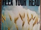Flex Your Head Comp Wheat Cover Vinyl LP Washington DC Hardcore Punk Dischord