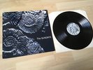 THE SUNDAYS READING, WRITING AND ARITHMETIC LP VINYL ORIGINAL GERMAN PRESS