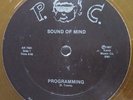SOUND OF MIND - PROGRAMMING/ THIS IS MY BEAT -RARE DETROIT TECHNO 12