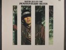 DAVID ALLAN COE PENITENTIARY BLUES SSS INT WHT LABEL PROMO LP USED