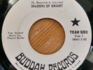 Shadows of Knight   Shake   Buddah    Canada   1968 Garage   Freak Beat