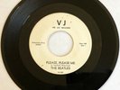 WLP DJ ROCK 45 / BEATLES / Please Please Me / From Me To You / VJ 581 / PROMO