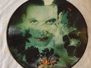 The Cure Disintegration Picture Disc Album Vinyl Rare