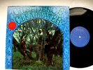 ULTRASONIC CLEAN - CREEDENCE CLEARWATER REVIVAL CCR  - NM Vinyl LP