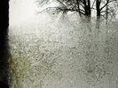 Bon Iver - For Emma, Forever Ago