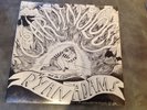 Ryan Adams - Cardinology-  New  & Sealed