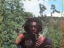 Peter Tosh Legalize It GREEN/YELLOW vinyl 2 LP NEW/SEALED