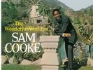 SAM COOKE The Wonderful World Of Sam Cooke VINYL LP BRAND NEW 2015