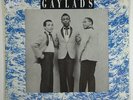 Gaylads 