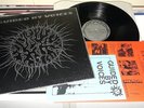 GUIDED BY VOICES - Devil Between My Toes (LP) Raro