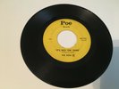 RARE GARAGE ROCK OHIO- THE MOD VI - 