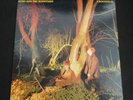 Echo And The Bunnymen 