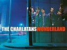 The Charlatans : Wonderland VINYL 12