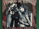 Cradle Of Filth - The Principle Of Evil Made Flesh Blue Marble Original LP