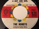 The Honeys - RARE SURF Brian Wilson 