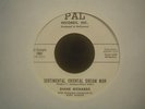 Diane Richards: Oriental Dream Man  PROMO Exotica Paul Buff Zappa Related PAL