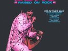 RAISED ON ROCK NEW VINYL