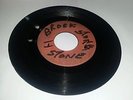 BLANK[CARIB-DIS-CO]/GAL A BOY - TERMITES [REGGAE] 7