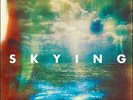 THE HORRORS - SKYING NEW VINYL RECORD
