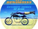 Bonamassa Joe - Different Shades Of Blue