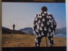 PINK FLOYD Delicate Sound Of Thunder - Original UK 2-LP Prog Rock David Gilmour