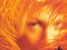 STONE TEMPLE PILOTS - SHANGRI-LA DEE DA NEW VINYL