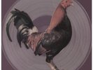 KING KURT Big Cock LP VINYL UK Stiff 1986 12 Track Pic Disc (Pseez62)