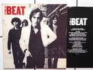 Powerpop PAUL COLLINS  the Beat LP 1.Press 1979 Protex Undertones PUNK Real Kids