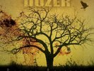 DOZER - beyond colossal