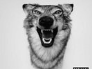 YELAWOLF: LOVE STORY (LP vinyl *BRAND NEW*)