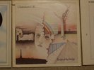 The Chameleons - 3 x Vinyl Records