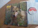 DARRYL WAY'S WOLF Canis Lupus UK 1973 LP MINT Prog Psych